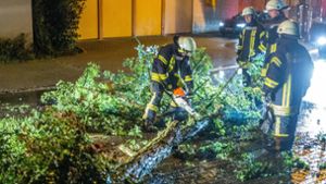 In Pleidelsheim im Kreis Ludwigsburg musste die Feuerwehr einen umgestürzten Baum zersägen. Foto: 7aktuell.de/Simon Adomat