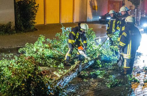 In Pleidelsheim im Kreis Ludwigsburg musste die Feuerwehr einen umgestürzten Baum zersägen. Foto: 7aktuell.de/Simon Adomat