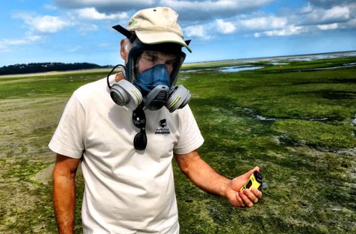 Nicht einatmen: Umweltaktivist Yves-Marie Le Lay misst die Konzentration von Schwefelwasserstoff. Foto:Krohn Foto:  