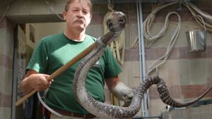 Er ist der Herr der Giftschlangen in der Stuttgarter Wilhelma: Harry Aberle. Foto: dpa