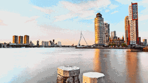 Betörend: Die Skyline von Rotterdam im Licht der Abendsonne. Foto: Rotterdam Partners/Neubauer
