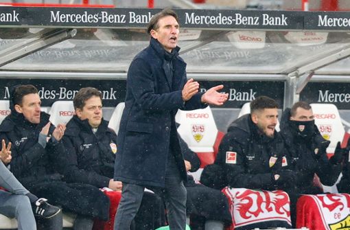 Die personellen Sorgen sind groß bei VfB-Trainer Bruno Labbadia – seine wahrscheinlichste Startelf in Leipzig finden Sie in unserer Bildergalerie. Foto: Baumann