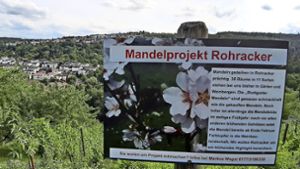Das Schild am Hanggrundstück in der Burghalde informiert über das Projekt. Foto: Elke Hauptmann