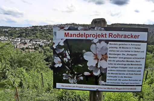 Das Schild am Hanggrundstück in der Burghalde informiert über das Projekt. Foto: Elke Hauptmann