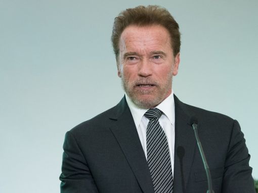 Arnold Schwarzenegger kam 1968 in die USA. Foto: Frederic Legrand - COMEO / Shutterstock.com