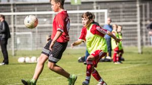 Kleine Teams, viel Spielzeit, jede Menge Ballkontakte – so soll das Fußballtraining bei Kindern aussehen. Foto: Lichtgut/Julian Rettig