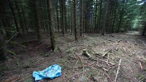 In einem Waldstück im Saale-Orla-Kreis bei Rodacherbrunn (Thüringen) sind Skelettteile von Peggy gefunden worden. (Archivfoto) Foto: dpa