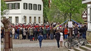 Das Maibaumfest eröffnet in Hemmingen die Saison der Feiern. Foto: factum/Bach