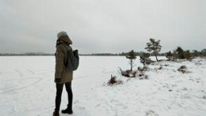 Gerade einmal sechs Stunden dauert in Estland der Tag, wenn die dunkle Zeit zur Wintersonnenwende ihren Höhepunkt erreicht. Foto: Kirsten Panzer
