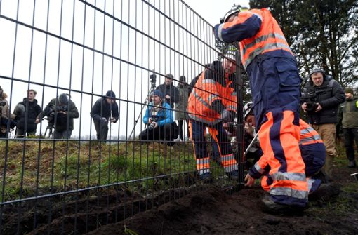 An der deutsch-dänischen Grenze ensteht ein Zaun gegen Wildschweine. Foto: dpa