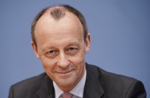Friedrich Merz möchte Parteivorsitzender der CDU werden. (Archivbild) Foto: dpa/Michael Kappeler
