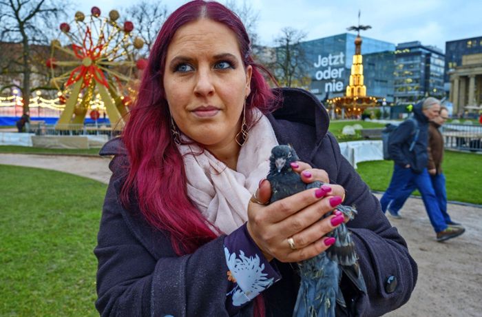 Stuttgarter Taubenschützerin Britta Leins: „Ich kann nicht tatenlos zusehen, wie Tiere leiden“