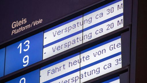 Auch in diesem Jahr waren viele Fahrgäste der Deutschen Bahn von Verspätungen betroffen. Foto: dpa/Fabian Sommer