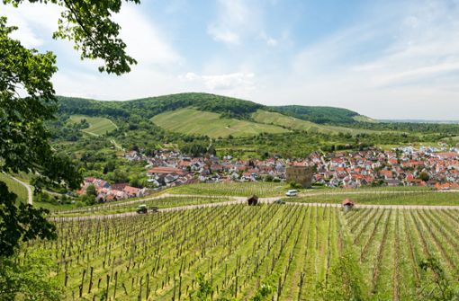 Blick auf Weinberge im Remstal: Seit 18. Oktober erheben die USA unter anderem auf Weinimporte einen Zoll von 25 Prozent. Foto: Stock Adobe/Manuel Schönfeld