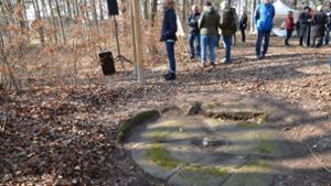 Das Überbleibsel einer Sandmühle, die es einst zahlreich in Rohrau gab. Durch die Schautafel wird dieses Bodendenkmal nun sichtbar. Foto:  /Käthe Ruess