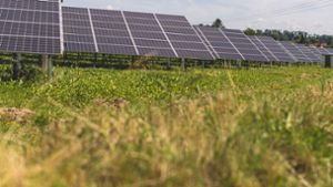 70 Prozent der rund 465.000 Photovoltaikmodule hat die EnBW nach eigenen Angaben im Solarpark brandenburgischen Werneuchen bereits montiert. Foto: EnBW/PaulGaertner