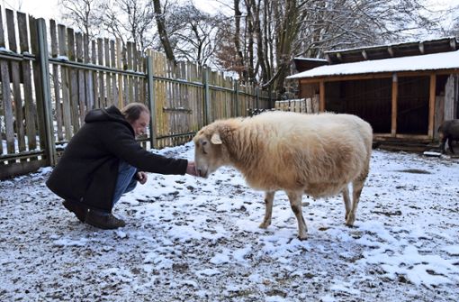2020 war auf den Jugendfarmen wenig los. Über Monate hinweg mussten sich die Mitarbeiter wie Thomas Lang von der Möhringer Farm allein um die Tiere kümmern. Foto: Alexandra Kratz