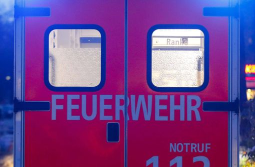 Die Feuerwehr Ludwigsburg rückte mit 30 Einsatzkräften aus (Symbolbild). Foto: imago images/Jochen Eckel
