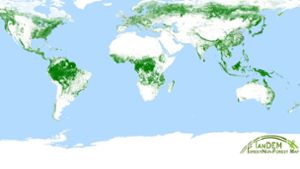 Auf der Weltkarte aus Satellitendaten ist  die Ausdehnung bewaldeter Flächen dargestellt. Foto: DLR