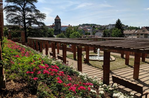 Der Rosengarten im Park der Villa Berg: Dort gibt es seit diesem Sommer wieder viele Rosenstöcke und eine neu aufgebaute Pergola. Foto: Jürgen Brand