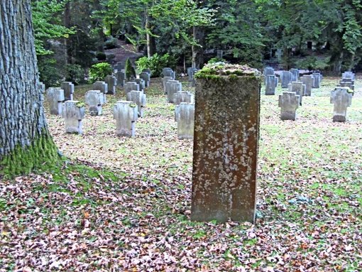 Nicht nur diese Stele auf dem Ehrenfeld  des Degerlocher Waldfriedhofs ist mit Moos überwuchert. Foto: Cedric Rehman
