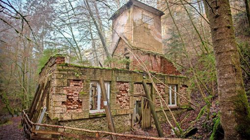 Das verfallene Gebäude im Wald gehörte einst zu einer Metallwarenfirma. Foto: Phillip Weingand