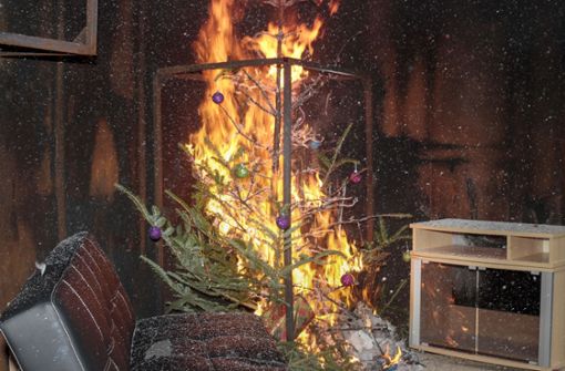 Wie schnell brennt ein Weihnachtsbaum? Eine Test-Vorführung durch die Feuerwehr zeigt: sehr schnell. Foto: factum/Jürgen Bach