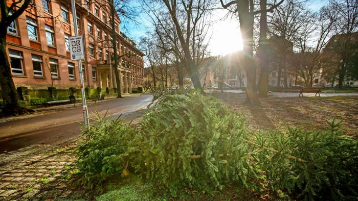 Weihnachtsbäume im Kreis Esslingen: Christbäume nur entsorgen –  oder noch etwas Gutes tun