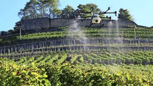Spritzdrohnen wie die derzeit im Praxistest befindliche Agras 1S sollen in ein paar Jahren im Weinbau zum Einsatz kommen. Foto: droneparts.de
