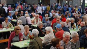 Zahlreiche Besucher feiern den Abschluss der Remstal-Gartenschau.Foto: Claudia Bell Foto:  