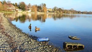 Bodenseeufer bei Radolfzell: Die Stadt will das Ufer verschönern. Dafür sollen die dort seit Jahrzehnten im Sommer liegenden Beiboote weichen. Dagegen regt sich nun Protest Foto: Herr