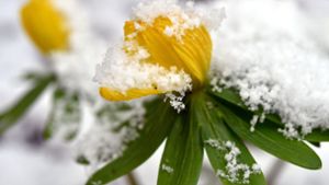 Ein Foto, das am Neujahrsmorgen entstehen kann: Feine Schneeflocken haben sich auf   Winterlingen niedergelassen. Foto: dpa/Bernd Settnik