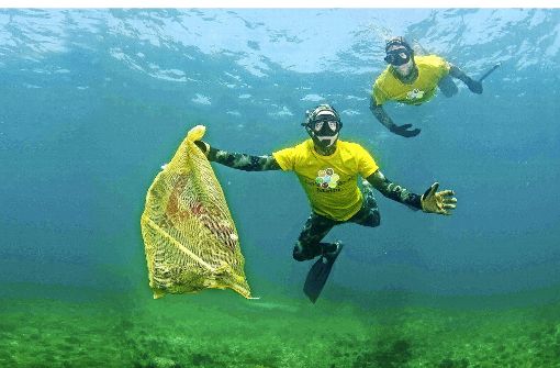 Eine fatale Geschichte: Plastik im Ozean Foto: Naturvision