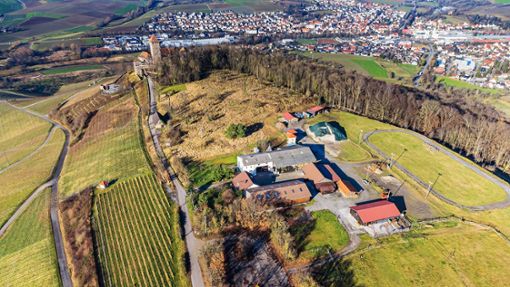 Je nach Blickwinkel könnte die Umgebung von Burg Lichtenberg durch Neubauten  wie dem geplanten Hühnerhof empfindlich gestört werden. Foto: KS-Images.de / Karsten Schmalz