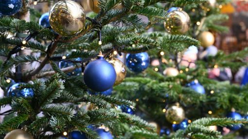 Kein Geschenk, sondern Unfall: Im Allgäu fiel ein Weihnachtsbaum offenbar von einem fahrenden Auto (Symbolbild). Foto: IMAGO/Horst Galuschka/IMAGO/Horst Galuschka