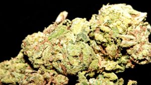 33 Kilogramm Marihuana sollen nach Kornwestheim gebracht worden sein. Foto: Imago