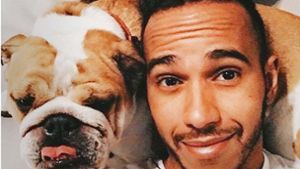Ein Herz und eine Seele: Lewis Hamilton und Roscoe Foto: Instagram/@roscoelovescoco
