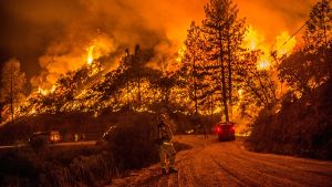 Den verheernden Waldbränden im Westen der USA sind mehrere Menschen zum Opfer gefallen. Foto: The Sacramento Bee/AP