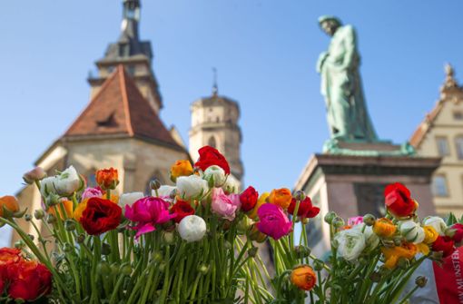 Der Frühling macht sich langsam aber sicher in Stuttgart breit. Foto: Lichtgut/Leif-H.Piechowski