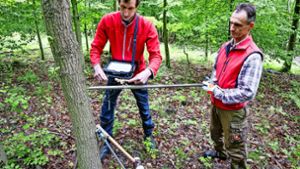 Sebastian Peters (links) und Werner Leeger analysieren  Bodenproben im Wald: Das Erdreich im Bohrkern wird unter anderem auf Feuchtigkeit untersucht. Foto: factum/Simon Granville