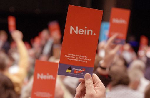 Rote Karte für Sektierer: Parteitagsteilnehmer bei einer Abstimmung in Heidenheim Foto: dpa