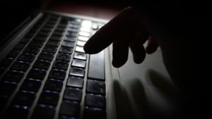 Die Kriminellen erpressen die Geschädigten: Bei Zahlung eines Lösegelds schalten sie die durch den Trojaner gesperrten Computer wieder frei. Foto: dpa