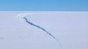 Dieses undatierte Foto zeigt einen Riss an einem Eisberg vom sogenannten Amery-Schelfeis – ein Teil davon ist nun abgebrochen. Foto: dpa/Richard Coleman