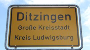 In Ditzingen soll im neuen Jahr über die Vereinsförderung diskutiert werden. Foto: Pascal Thiel