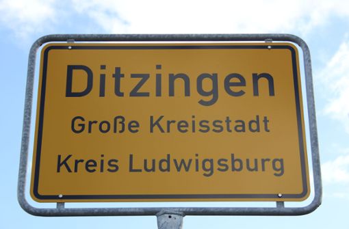 In Ditzingen soll im neuen Jahr über die Vereinsförderung diskutiert werden. Foto: Pascal Thiel