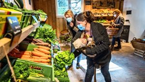 Das „Hoflädle am Oberholz“  ist ein Beispiel dafür, dass es im Lebensmittelhandel auch Alternativen gibt. Foto: /Giacinto Carlucci