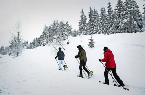 Der Nationalpark  ist auch bei Schnee ein Erholungsgebiet. Noch ist dort  Wintersport  möglich Foto: dpa