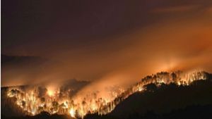 Die Macht des Feuers, hier bei den Bränden in der Böhmischen Schweiz in Tschechien, wird gerade wieder vielen Menschen vor Augen geführt. Foto: dpa/Robert Michael