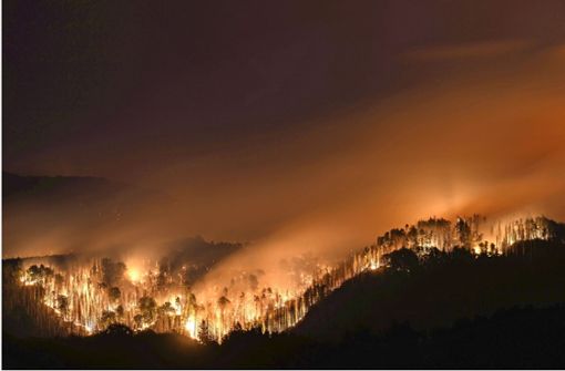 Die Macht des Feuers, hier bei den Bränden in der Böhmischen Schweiz in Tschechien, wird gerade wieder vielen Menschen vor Augen geführt. Foto: dpa/Robert Michael