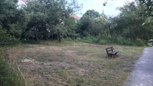 Das ist eine der vier Flächen, die den Kindern und Betreuern des Riedenberger Ferienwaldheims zugewiesen worden sind. Gras wächst dort kaum, der Untergrund ist stachelig. Foto: Julia Bosch